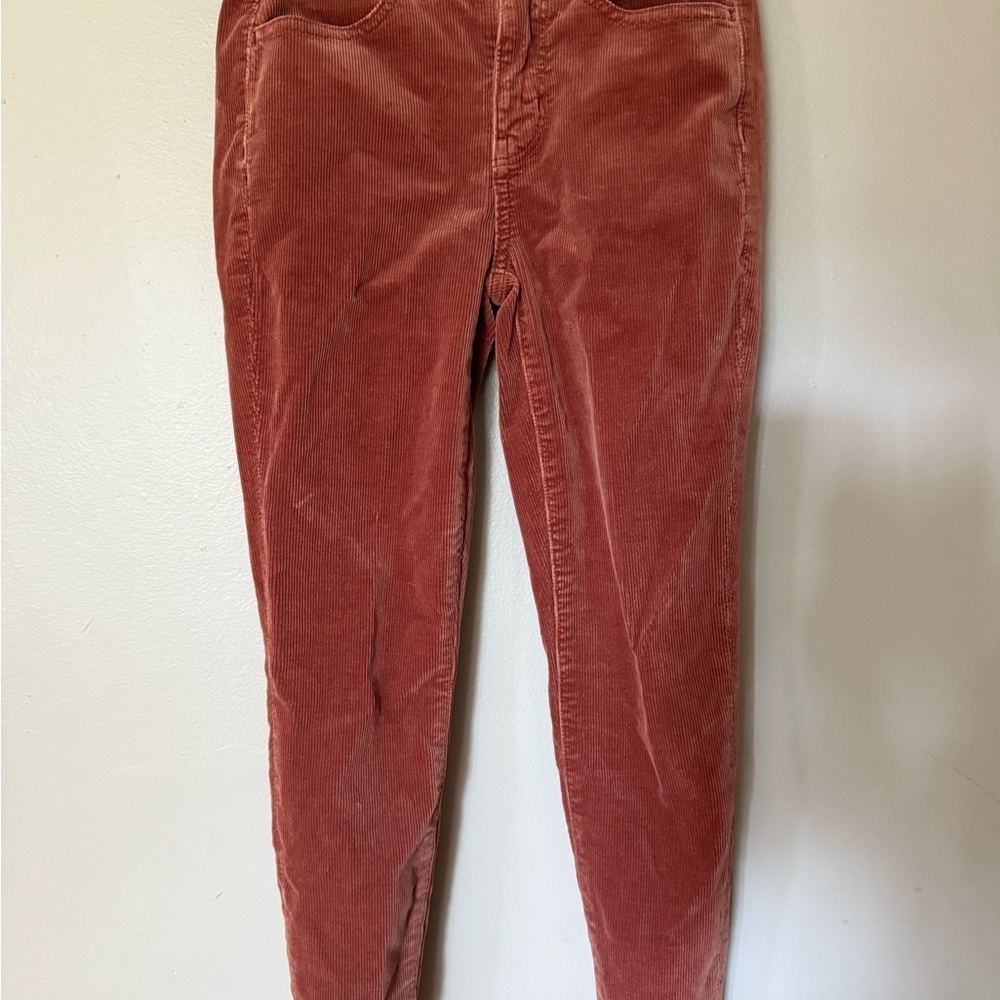 American Eagle Outfitters Copper Corduroy Pants
